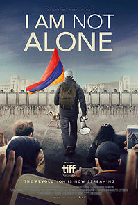 I Am Not Alone (2020)