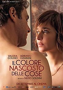 Il colore nascosto delle cose (2017)