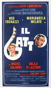 Il gatto (1978)