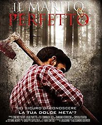 Il marito perfetto (2011)