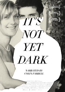 It's Not Yet Dark (2017)