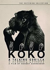 Koko: A Talking Gorilla (1979)
