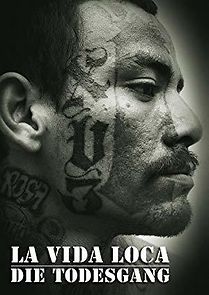La vida loca (2009)
