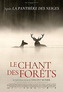 Le chant des forêts (2025)