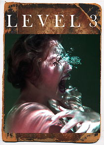 Level 3 (2021)
