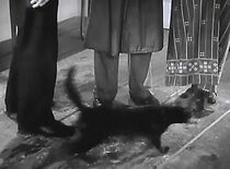 Lightning Strikes Twice (1951)