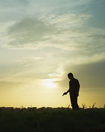 Long Way Back Home (2018)