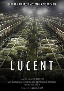 Lucent (2014)