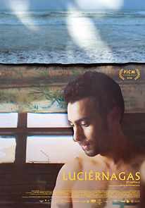 Luciérnagas (2019)