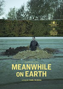 Meanwhile on Earth (2021)