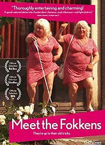 Meet the Fokkens (2011)