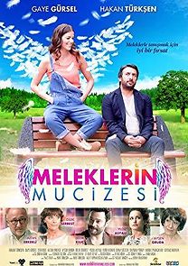 Meleklerin mucizesi (2014)