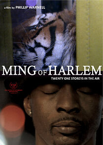 Ming of Harlem: Twenty One Storeys in the Air (2016)