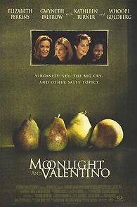 Moonlight and Valentino (1995)