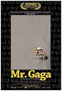 Mr. Gaga (2017)