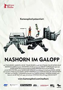 Nashorn im Galopp (2013)