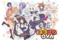 Nekopara (2017)