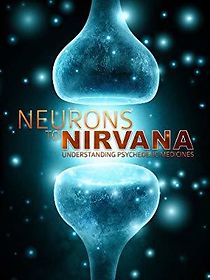 Neurons to Nirvana (2013)