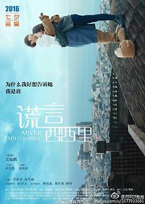 Never Said Goodbye (2016)