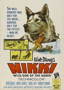 Nikki, Wild Dog of the North (1961)
