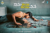 Ninnu Veedani Needanu Nene (2019)