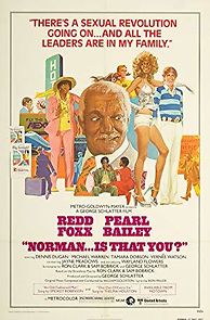 Norman... Is That You? (1977)