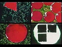 Number 2: Message from the Sun (1941)