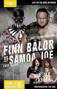 NXT TakeOver: The End (2016)