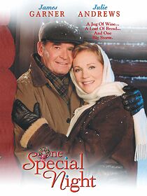 One Special Night (1999)