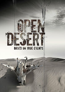 Open Desert (2013)
