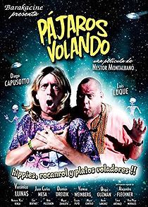 Pájaros volando (2010)