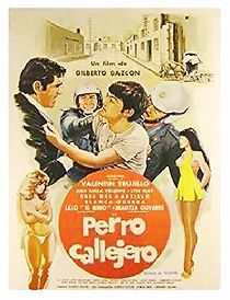 Perro callejero (1980)
