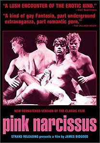 Pink Narcissus (1993)