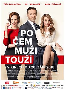 Po cem muzi touzí (2018)