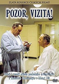 Pozor, vizita! (1982)