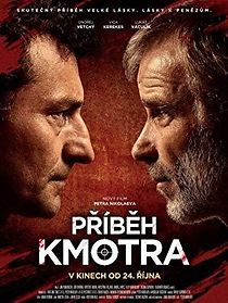 Príbeh kmotra (2013)