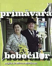 Primãvara bobocilor (1985)