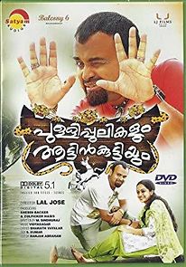 Pullipulikalum Aattinkuttiyum (2013)