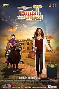 Punjab Nahi Jaungi (2017)