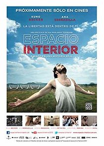 Richness of Internal Space (2013)