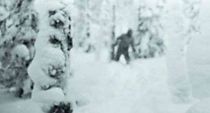 Russian Yeti: The Killer Lives (2014)