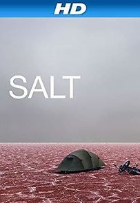 Salt (2010)