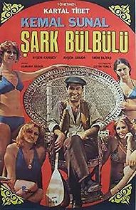 Sark Bülbülü (1979)