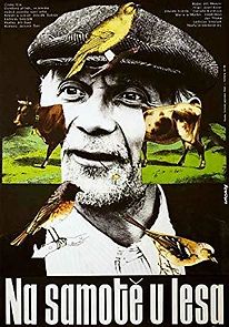 Secluded, Near Woods (1976)