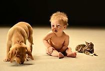 Secret Life of Babies (2014)