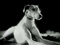 Sentimental Romance (1930)