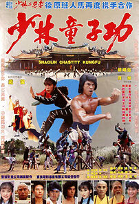 Shao Lin tong zi gong (1981)