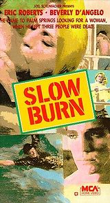 Slow Burn (2003)