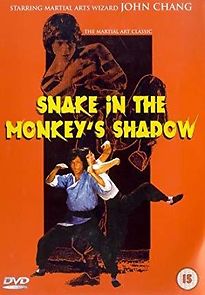 Snake In The Monkey's Shadow (1980)