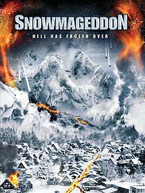 Snowmageddon (2011)